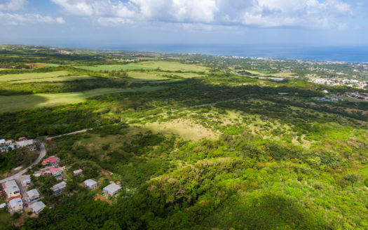 Mount Brevitor Land