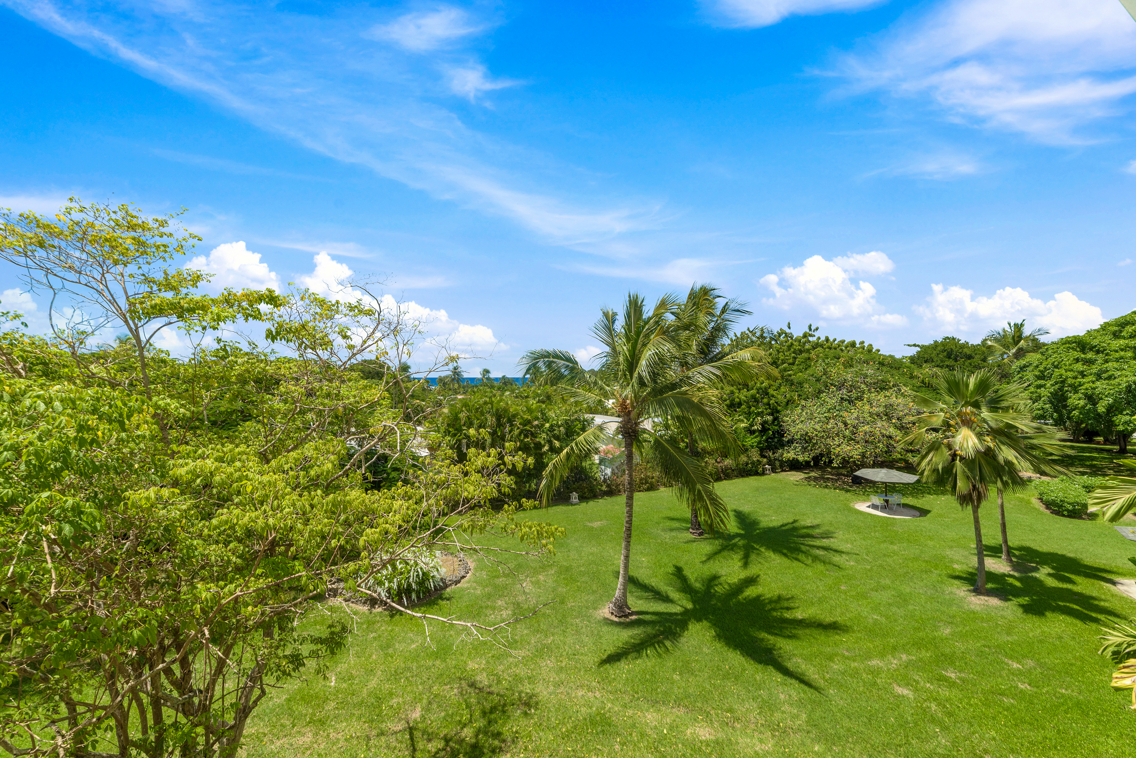 Golden View No. 328 – Rum Runner
