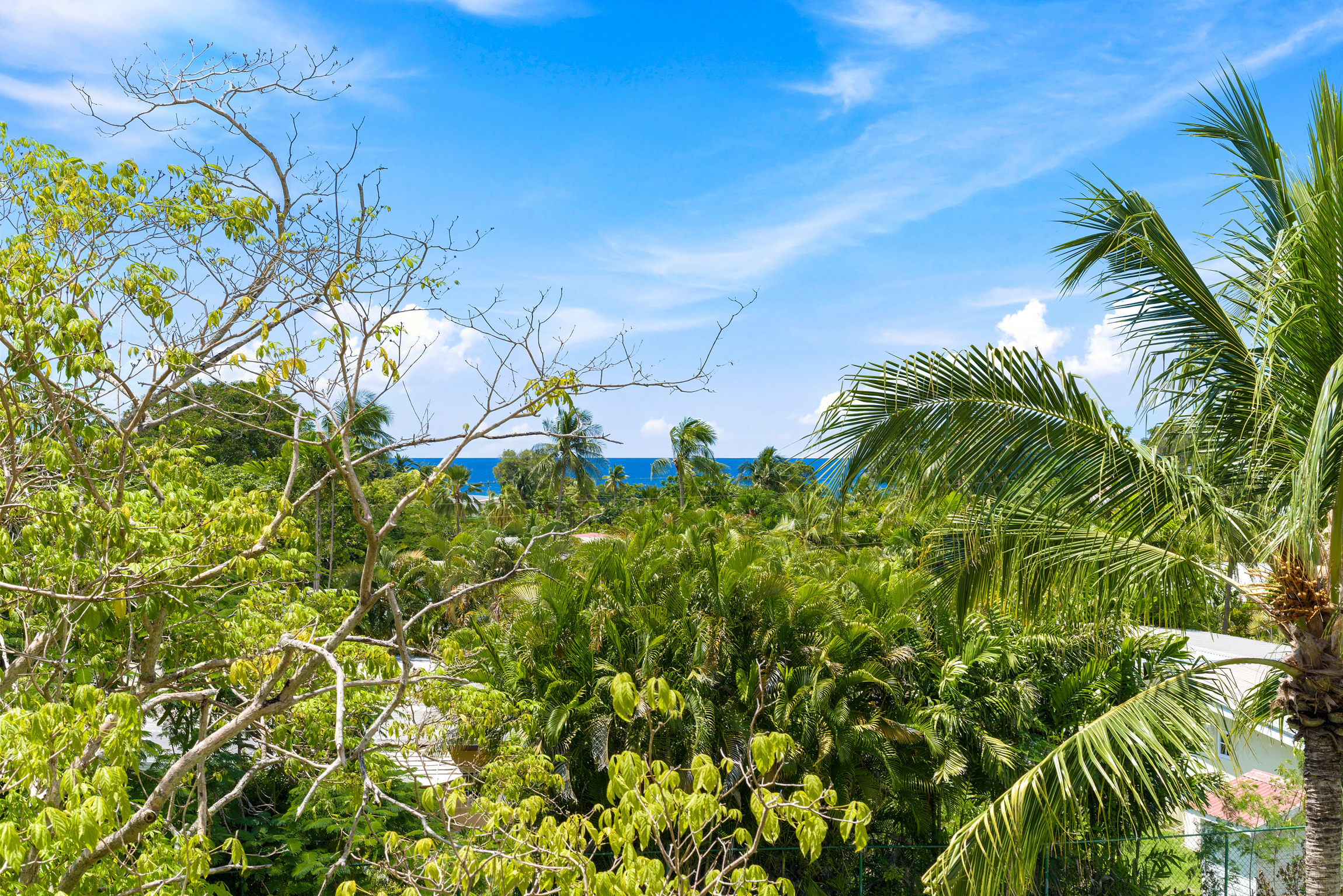 Golden View No. 328 – Rum Runner