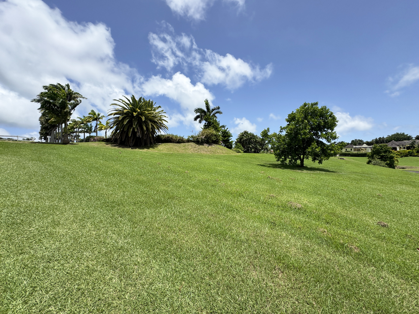 Image of Land for Sale in Lion Castle-Barbados, Image 4