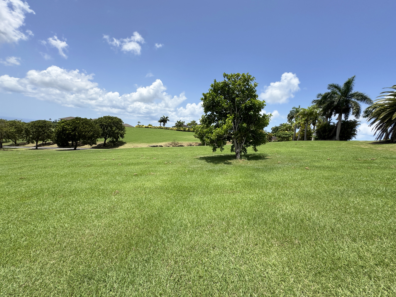 Image of Land for Sale in Lion Castle-Barbados, Image 5