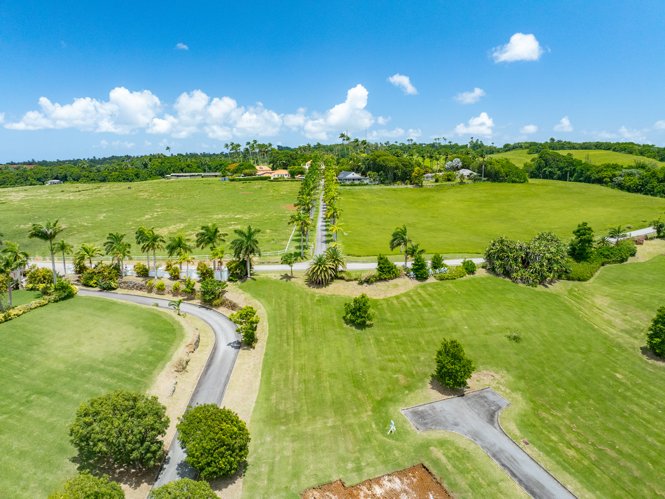  Image of Land for Sales in Lion Castle-Barbados, Image 12