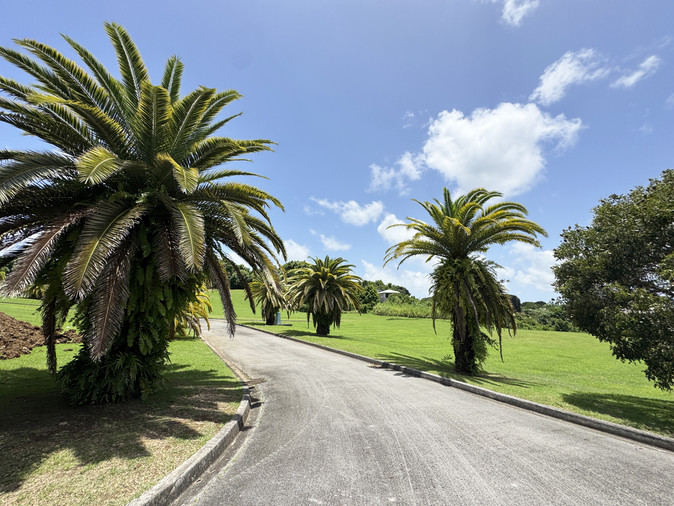  Image of Land for Sales in Lion Castle-Barbados, Image 15