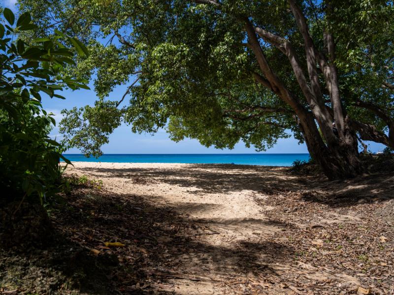 Image of Villa - 3 Bedrooms - 3 Bathrooms for Sale in Barbados, Image 19