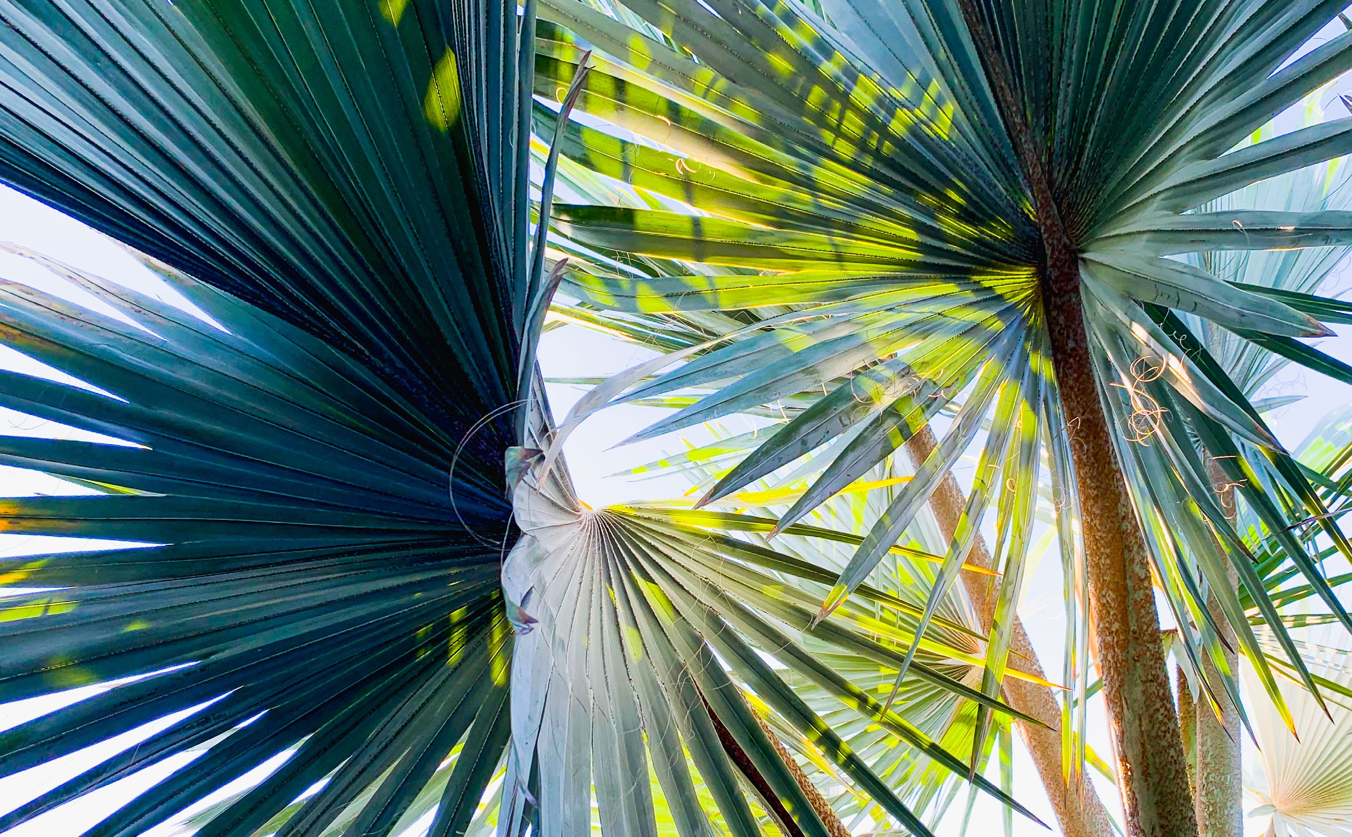 Image of Villa - 6 Bedrooms - 6 Bathrooms for Sale in Barbados, Image 13