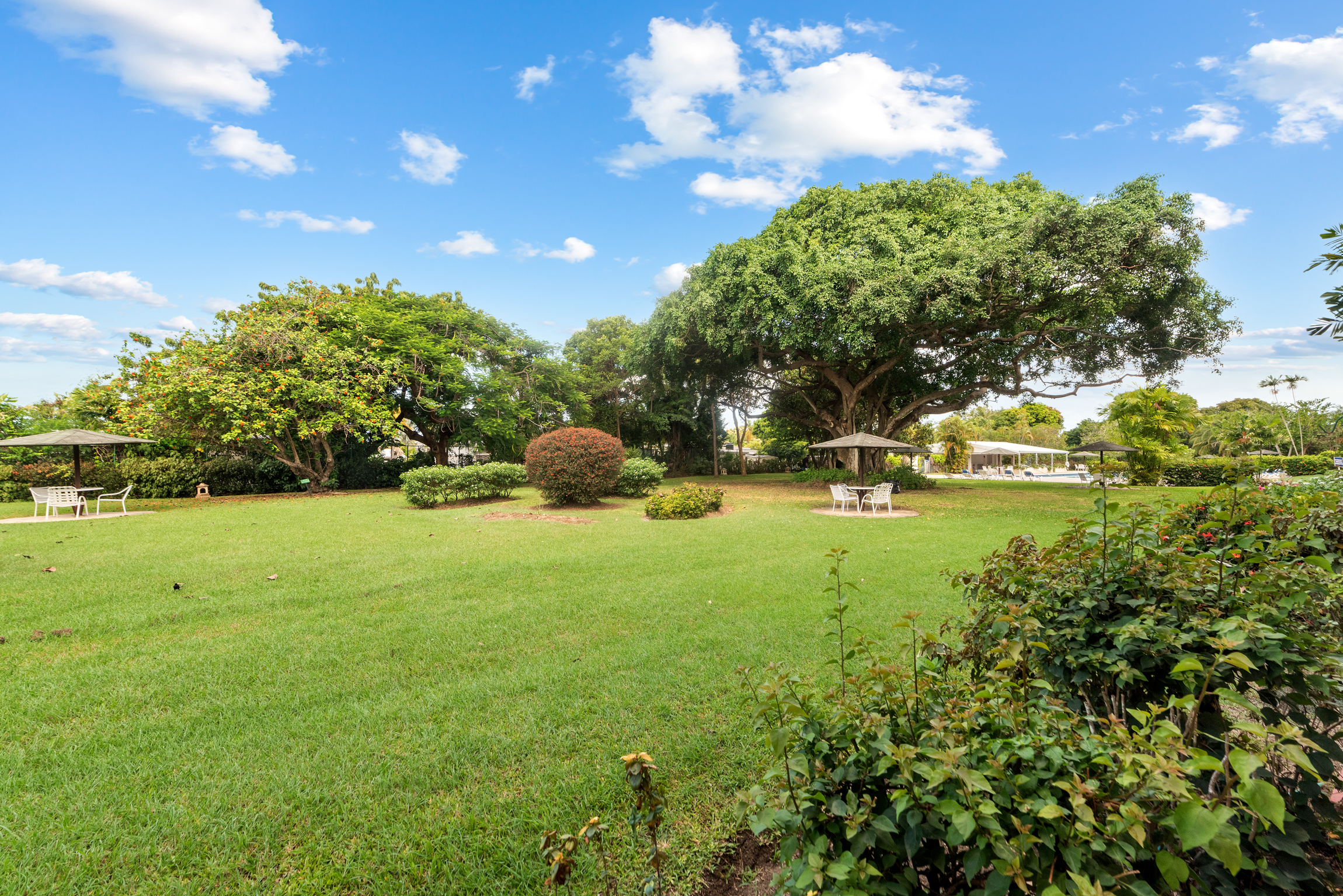 Image of Apartment - 1 Bedrooms - 1 Bathrooms for Holiday Rentals in Sunset Crest-Barbados, Image 17